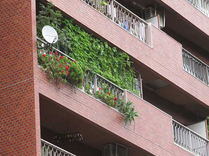 Фото озеленения балкона, tokyogreenspace.com