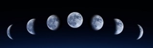 Лунный календарь дачных работ на август 2020 года