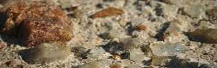 Крупнозернистый песок – ищем применение большому размеру