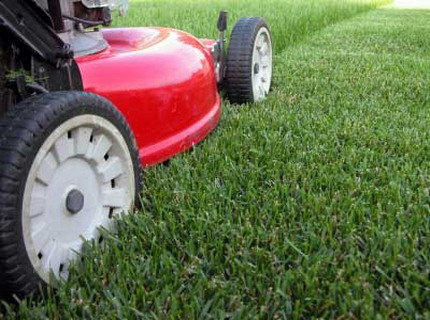 Какие бывают газонокосилки? (фото), www.best-lawn-mower-reviews.info