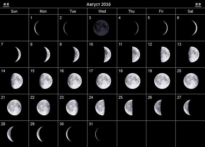 Лунный календарь дачных работ на август 2016 года