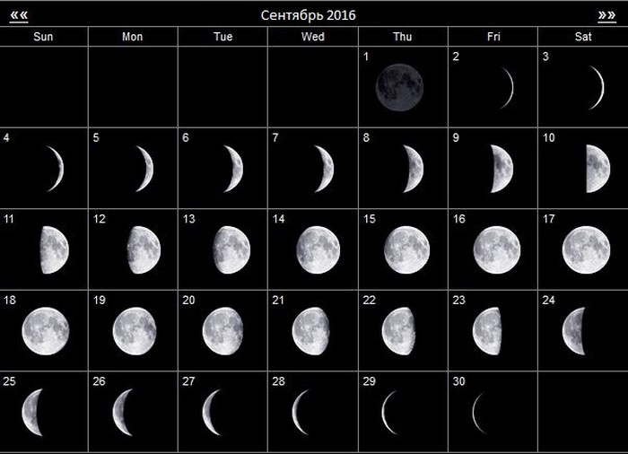 Лунный календарь дачных работ на сентябрь 2020 года
